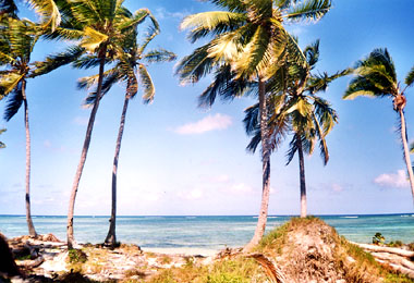 caribe playa.JPG